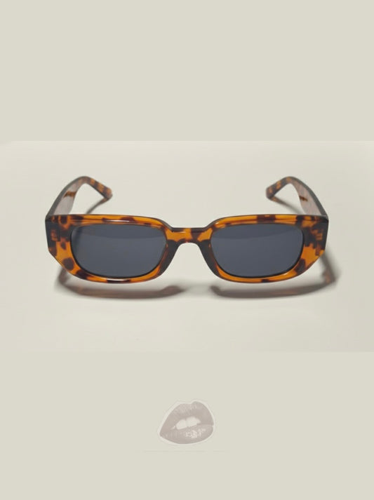 Cheetah Frame 2